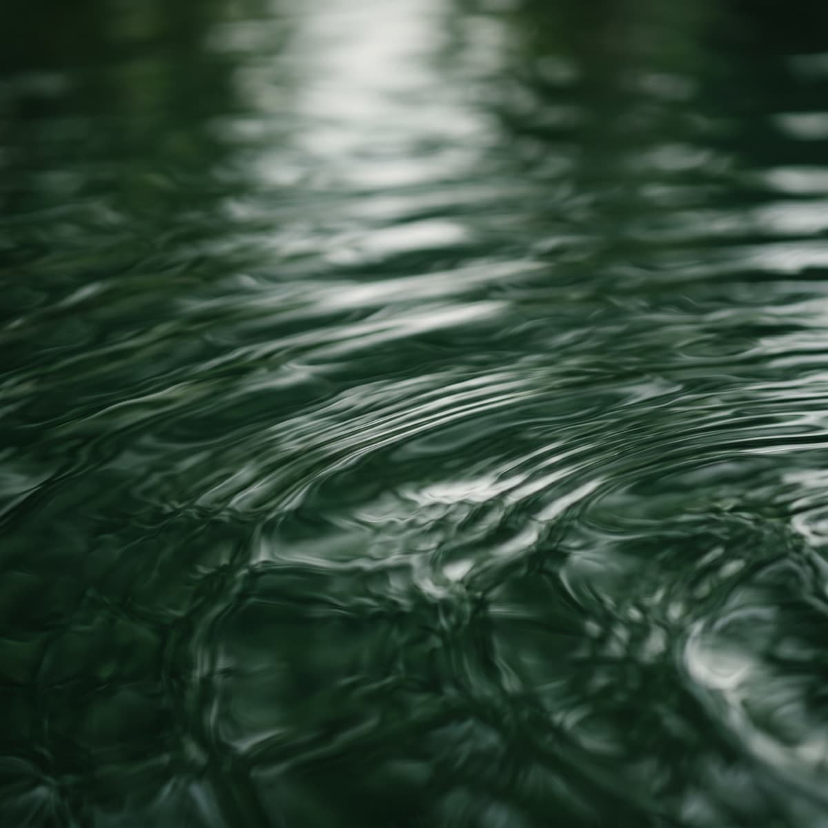 Water and irrigation texture used as a visual cue for drainage and watering systems.