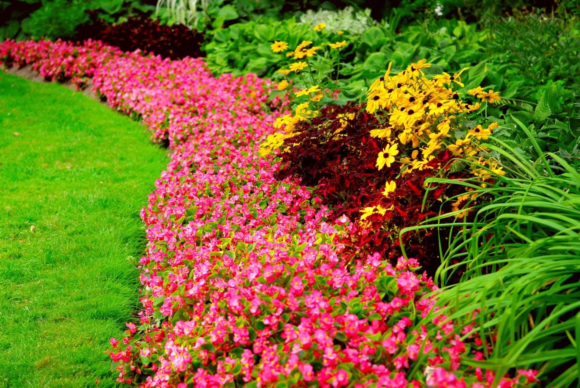 Garden design , planting and xeriscaping by RNR Landscaping & Construction in the North Bay.