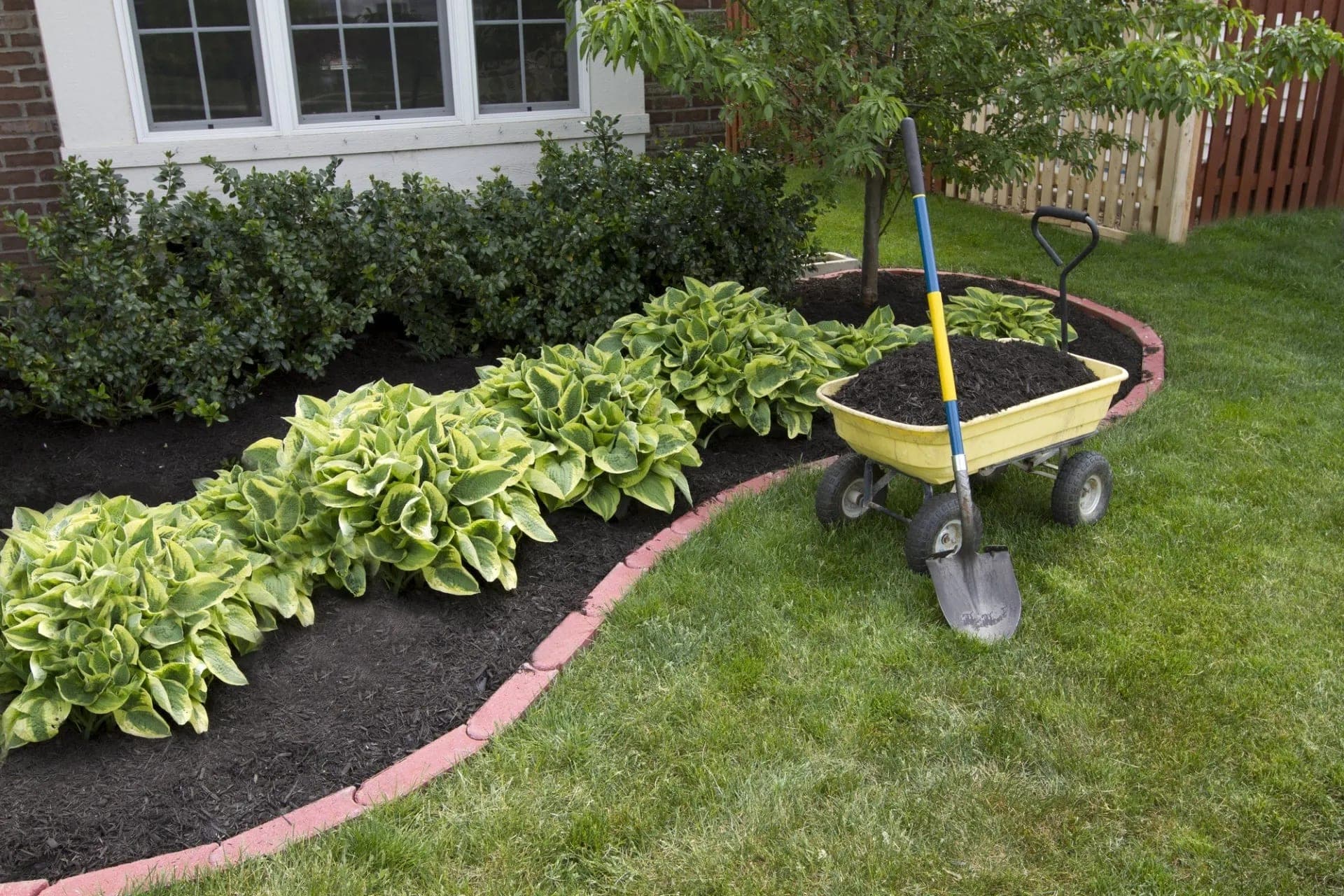Mulching , planting and xeriscaping by RNR Landscaping & Construction in the North Bay.