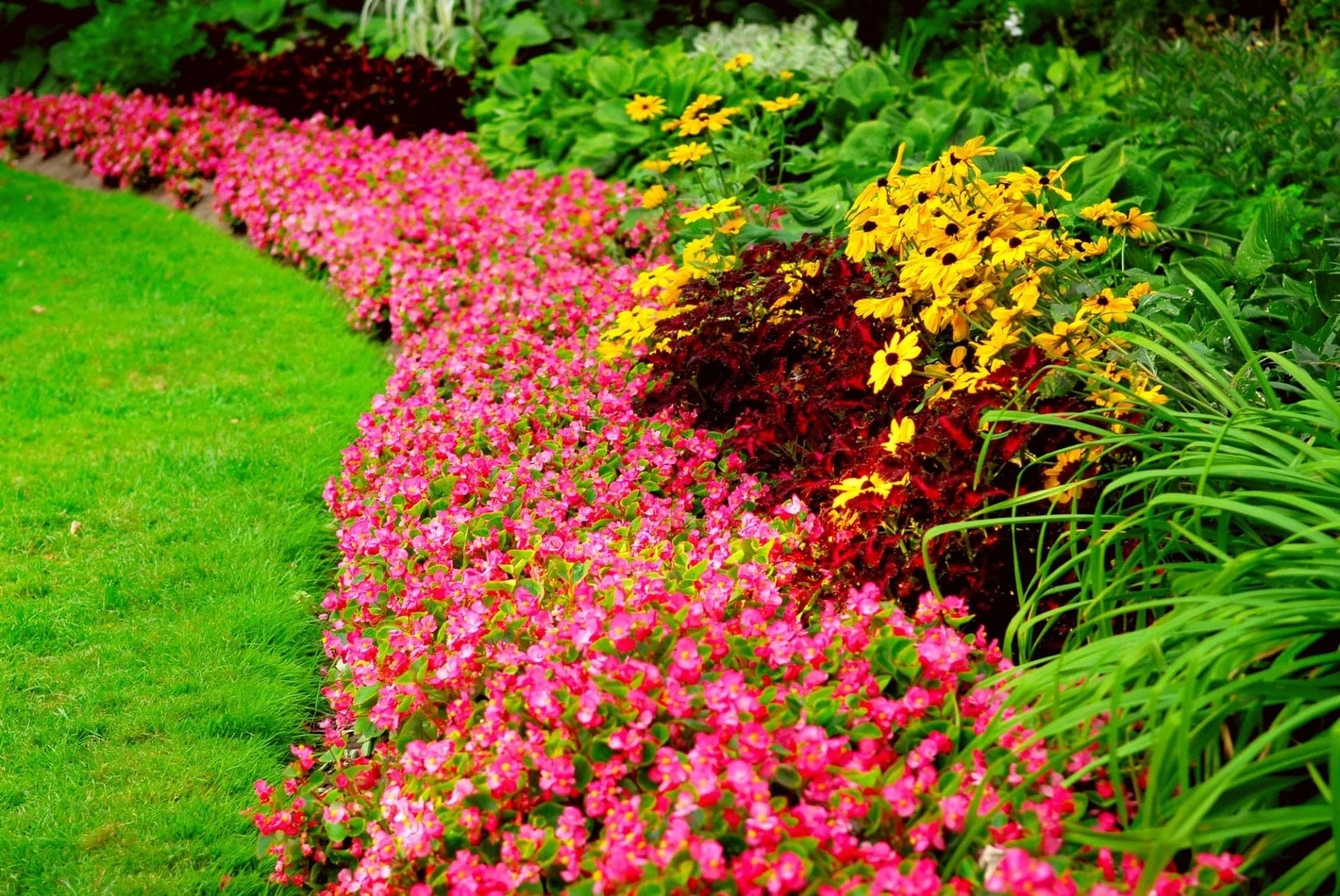 North bay landscape projects by RNR Landscaping & Construction in the North Bay (photo 51).