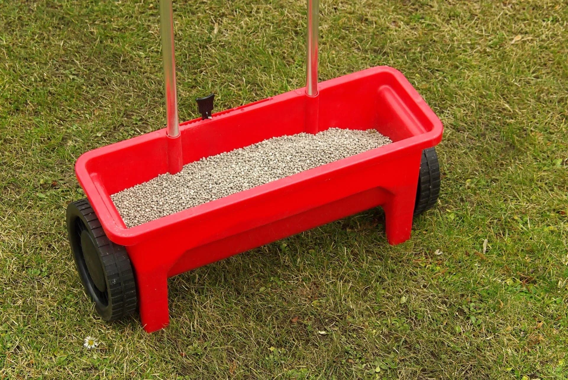 Red drop spreader filled with fertilizer pellets sitting on a green lawn.