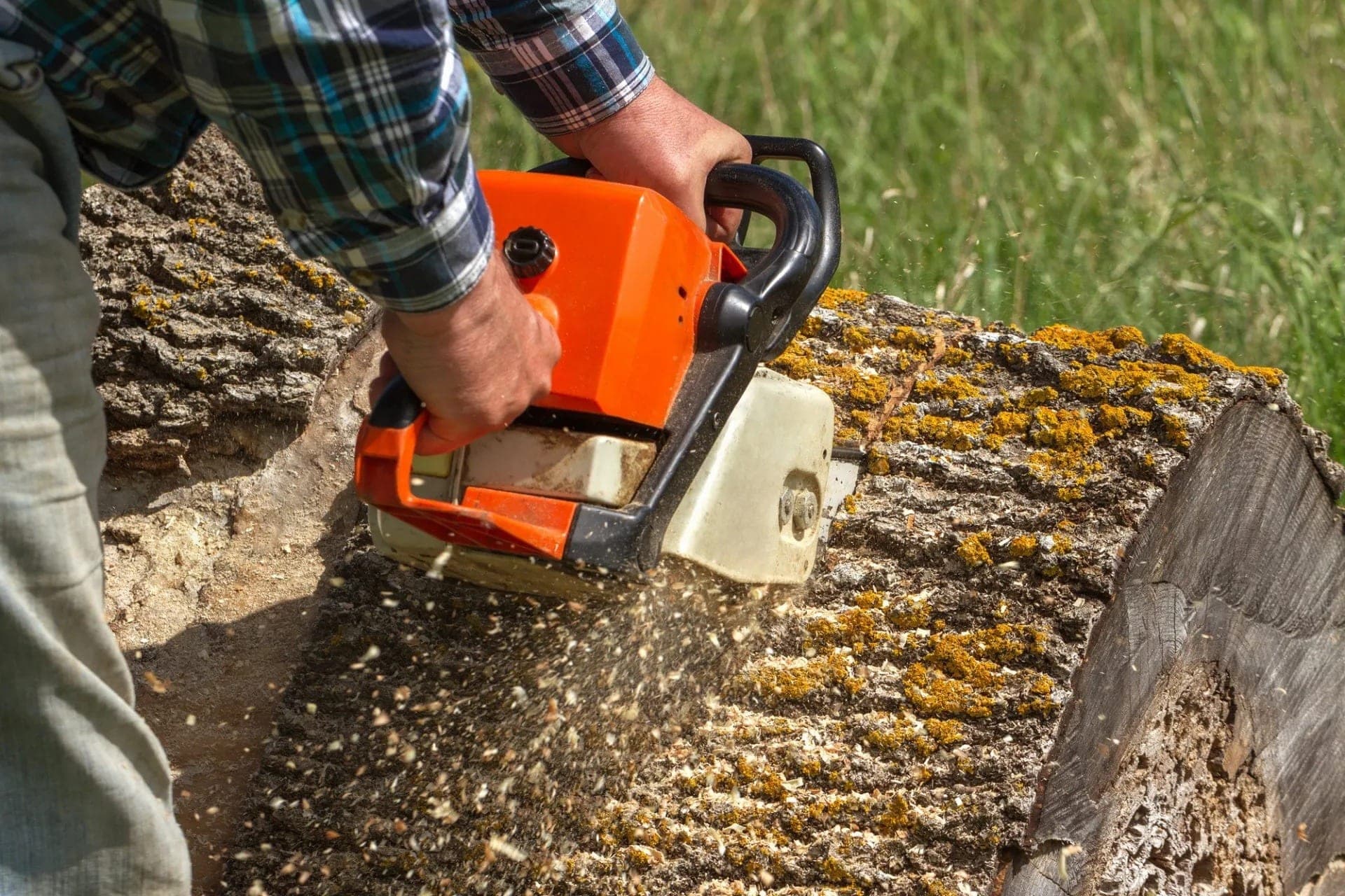 Worker cutting a large fallen tree trunk with an orange chainsaw.