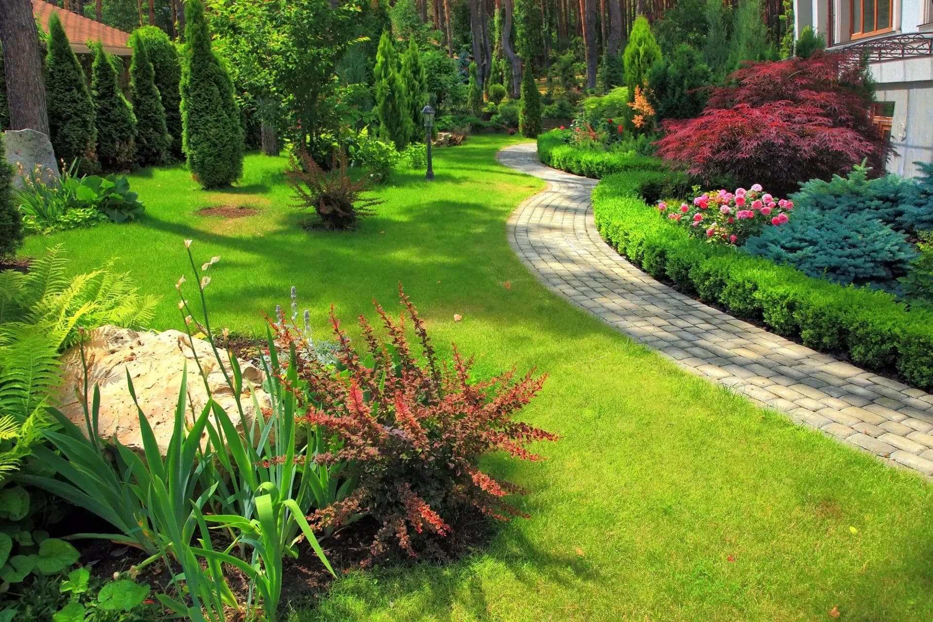 Manicured green lawn with curved paver walkway, trimmed hedges, roses, and evergreen trees.