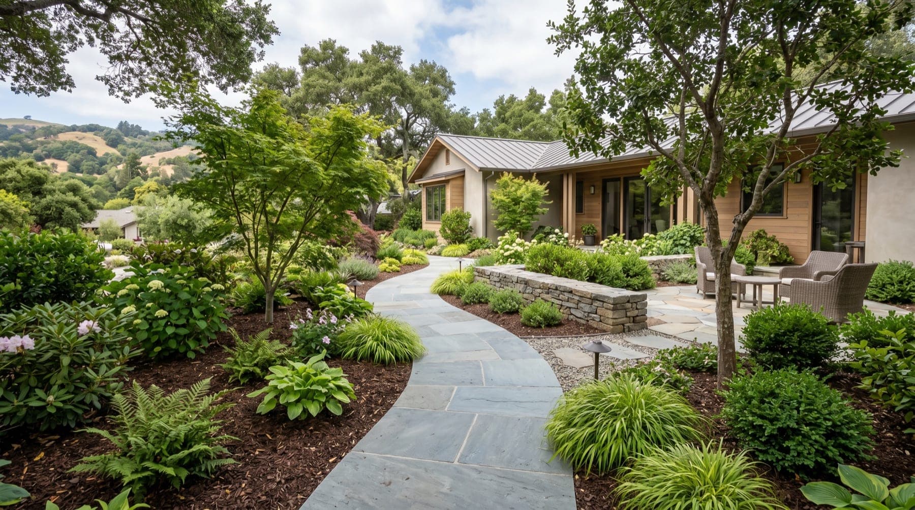 Larkspur service area landscape concept with North Bay planting, outdoor living detail, and open sky.