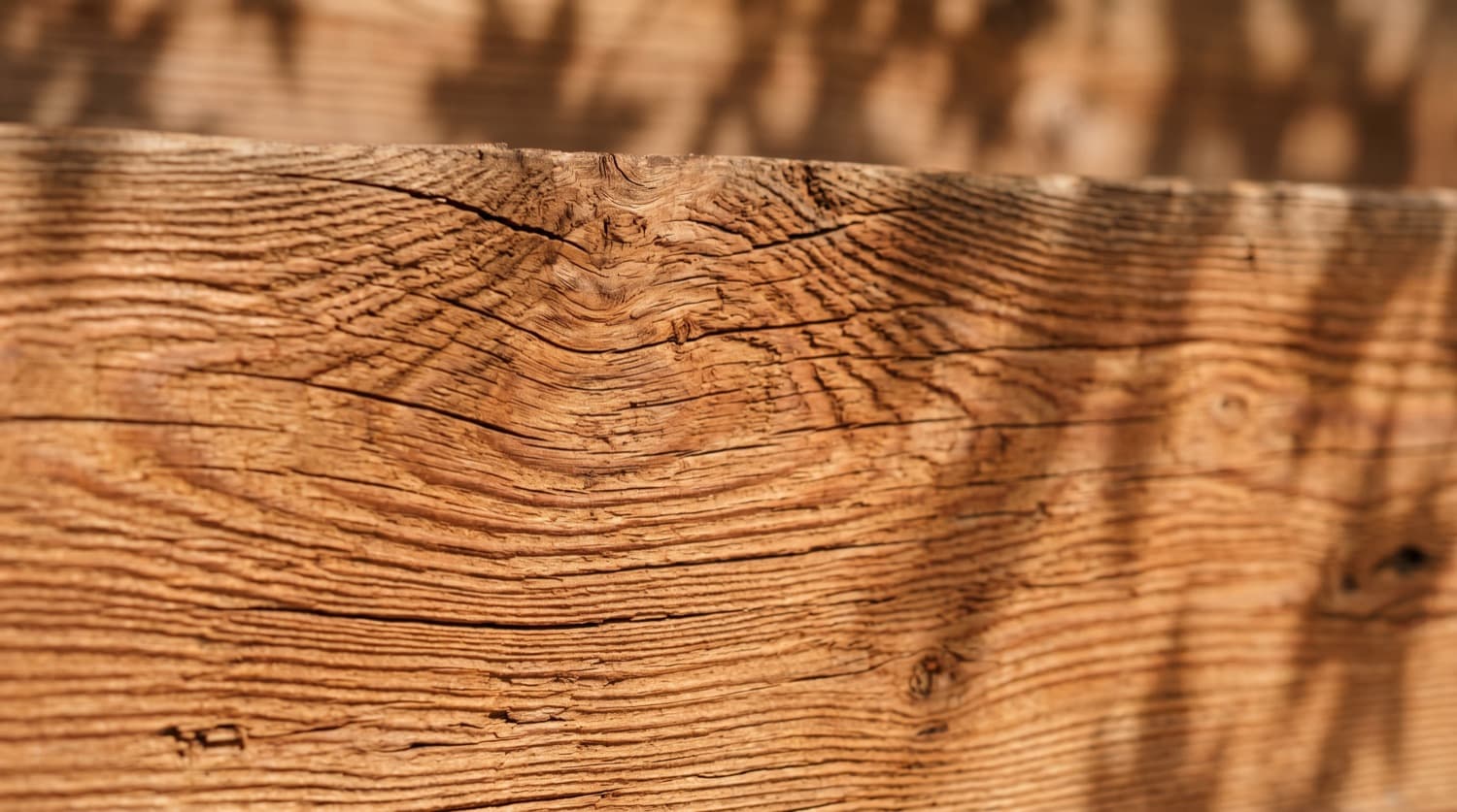 Landscaping landscape planning detail.