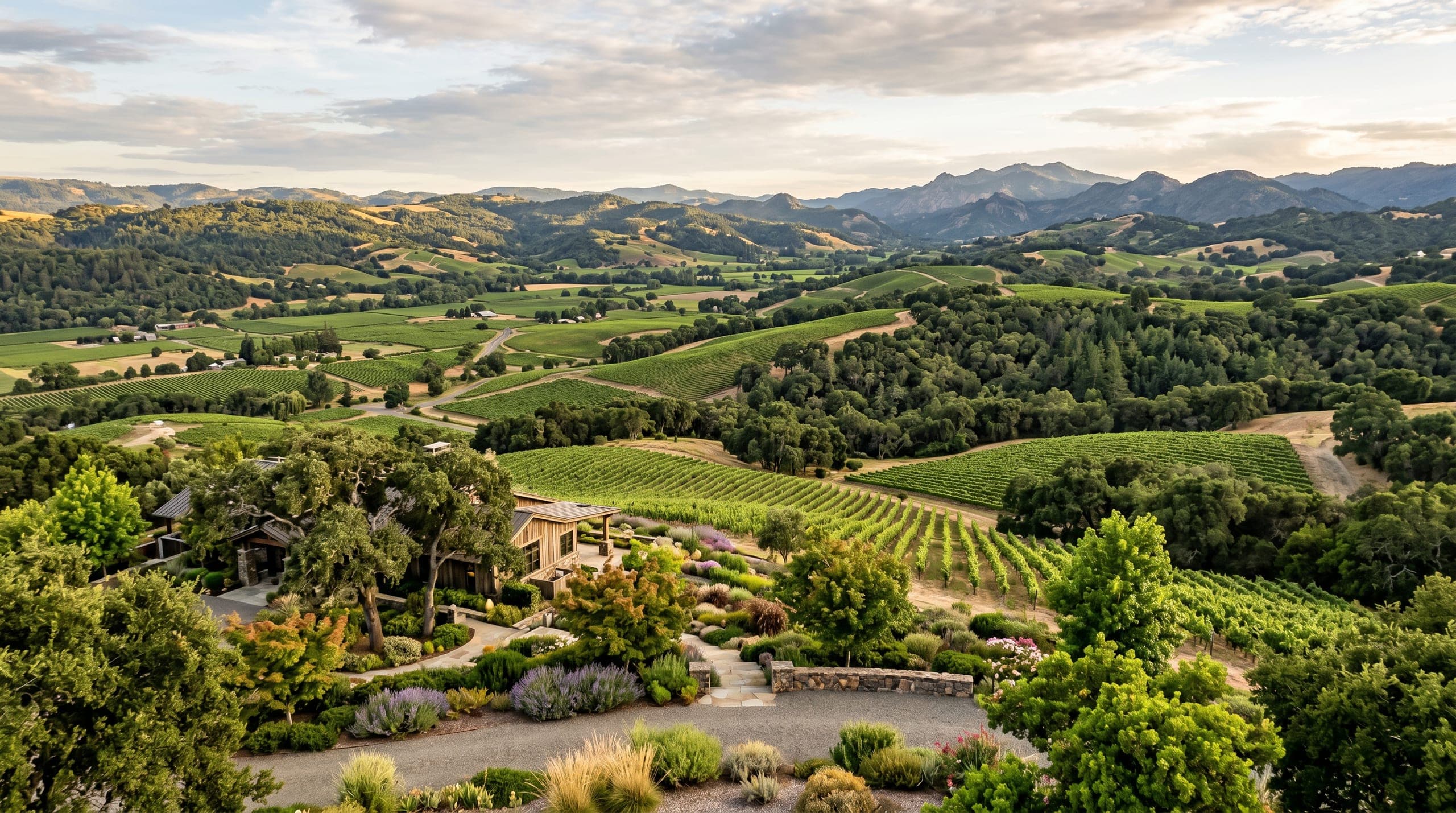 North Bay vineyard valley and rolling hills under open sky for service area coverage.