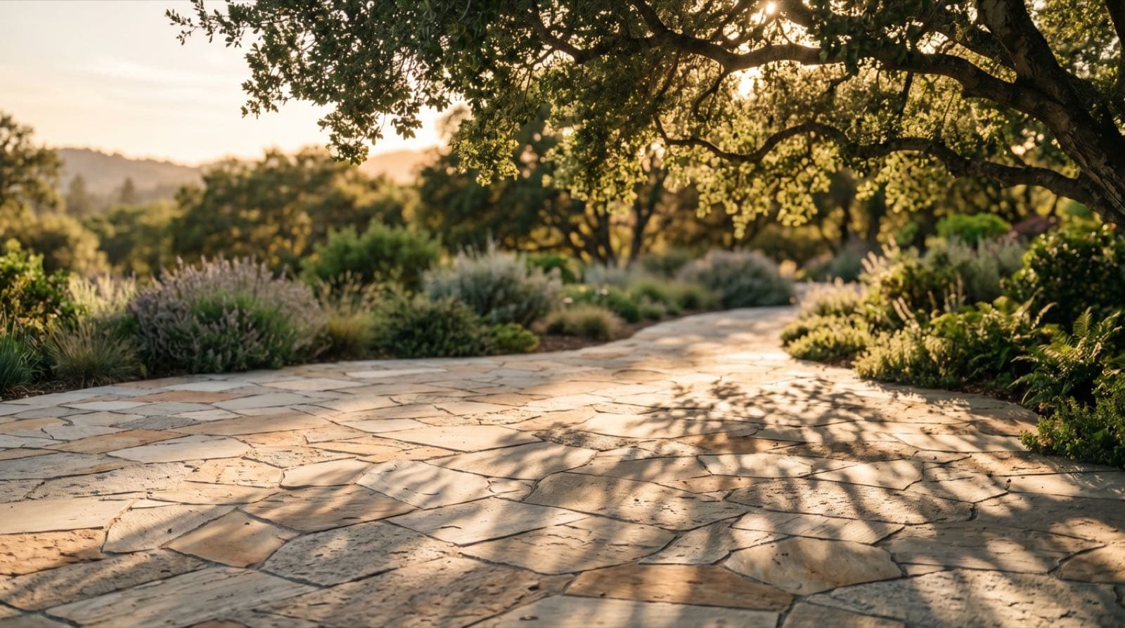 Evening light and tree shadows across a smooth stone path